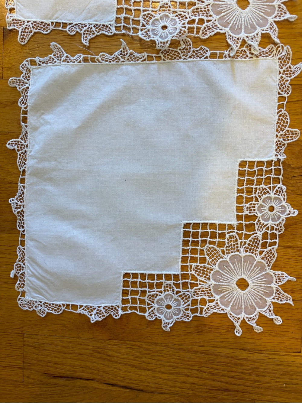 Two Vintage White Napkins, Pretty detailed design trim, Floral, cotton